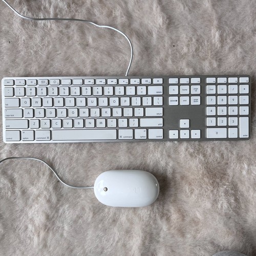 Apple a1243 aluminum keyboard - apple,