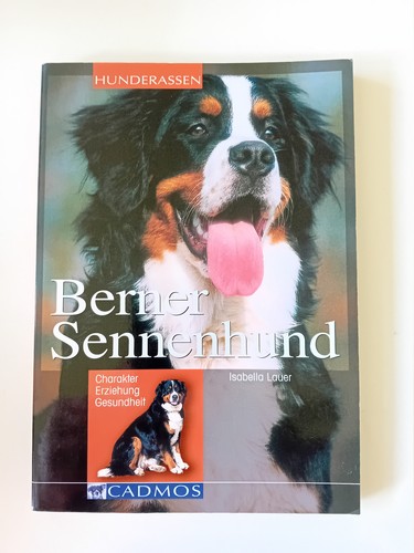 Berner sennenhund charakter - berner,