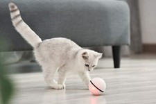DOGNESS® LED Katzen Spielball Katzenspielzeug selbstrollend mit Vogelstimmen PRO
