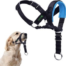 Hundehalfter mit