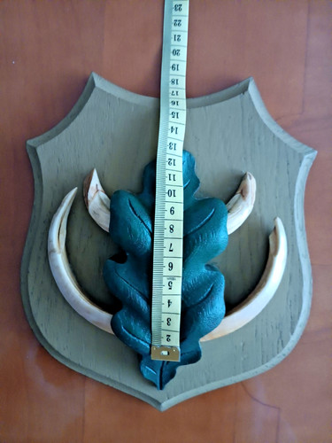 Keilerwaffen jagdtrophäe - keilerwaffen,
