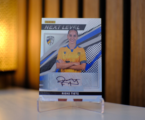 Panini google pixel - panini,