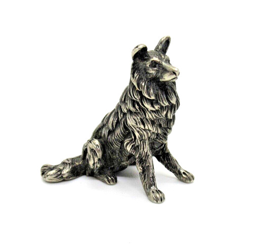 Wunderschöner collie 800er - wunderschöner,