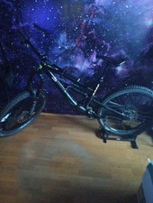 Rose Soul Fire 1 Freerider 27