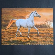 Pferdepostkarte AK Pferd Korsch Araber 10/2017