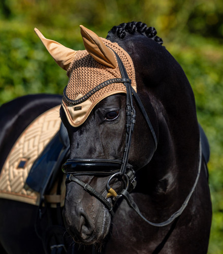 Equestrian stockholm midsummer - stockholm,