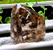 Goldene Rutile In Quarz Top Aus Brasilien.  