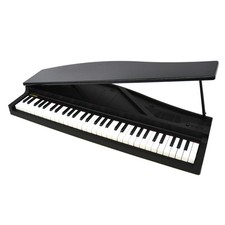 KORG microPIANO 61 Tasten Mini