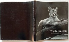 R80806 WILDE KATZEN Ein