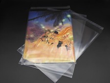 Magazines Sleeves z. B