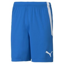 Puma Fußball teamLIGA Shorts