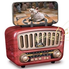 PRUNUS J-180 AM/FM/SW Retro Radio mit Bluetooth 5.0, Nostalgie Radio Klein mi...