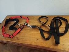 Halti Hundeleinen Kombi Pack Set Kopfhalsband Trainingsleine