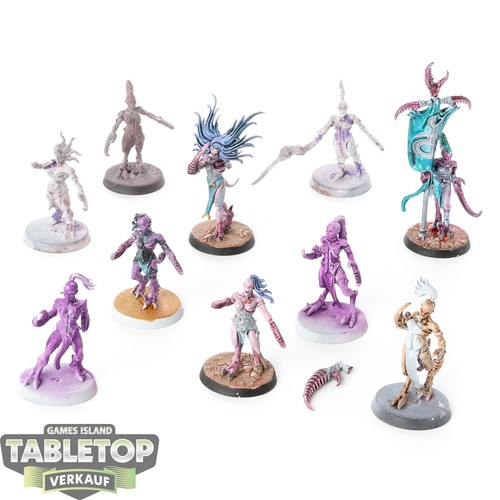 Hedonites slaanesh 10 x - -,