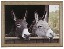 Knietablett Esel Mars&More