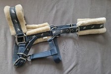 Horse-friends Pony Webhalfter