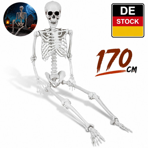 Halloween skelett lebensgroß - halloween,