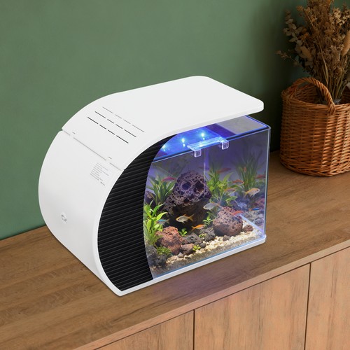 Kleines glas aquarium - kleines, glas-aquarium