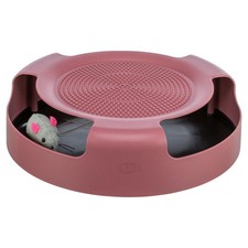 Trixie Catch The Mouse