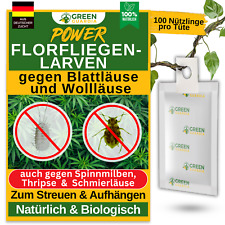 Florfliegenlarven gegen
