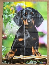 Riesen tierposter schwarzer - ✿riesen-tierposter,