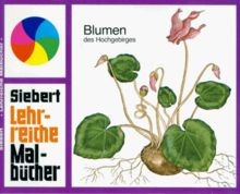 Blumen des hochgebirges - blumen,