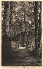 AK DR - Restaurant zum Forsthaus Templin - Waldweg - bei Caputh / Potsdam  ~1920