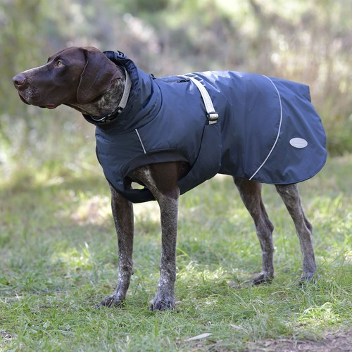 Weatherbeeta explorer medium - weatherbeeta,