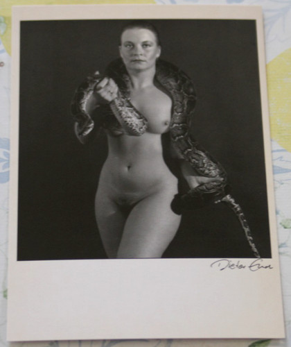 Foto kunst akt python 1 - kunst,