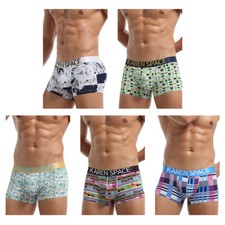 Sexy Gay Seide Low Rise Trunks