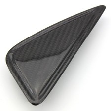 Carbon Schwingenschutz für MV