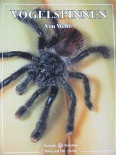 Vogelspinnen Natur und Tier