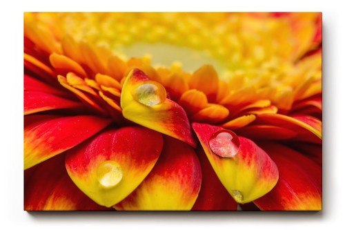 Sinus art wandbild - sinus,