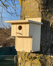 Excl. Meisennistkasten MEISEN Vollhöhle Meise mit Marderschutz Nesträuberschutz