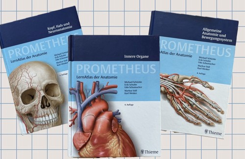 Thieme prometheus lernatlas - thieme,