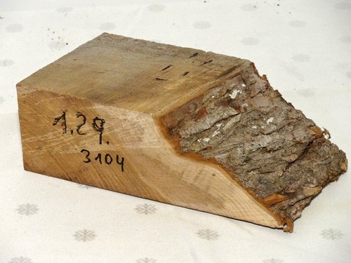 Rüster ulme holz bastelholz - rüster,