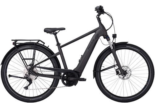 Pegasus savino evo grey - savino, 10