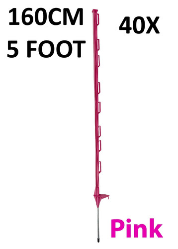Fuß - x, (160