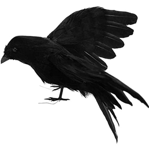 Halloween rabe dekoration - halloween,