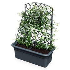 Blumen Kasten m. Rank Gitter