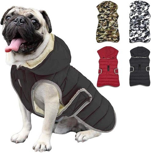 Winter hundejacke with - hundejacke,