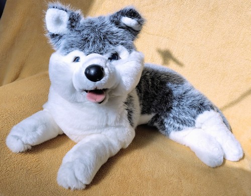 Großer plüsch husky - plüsch-husky, (55cm)