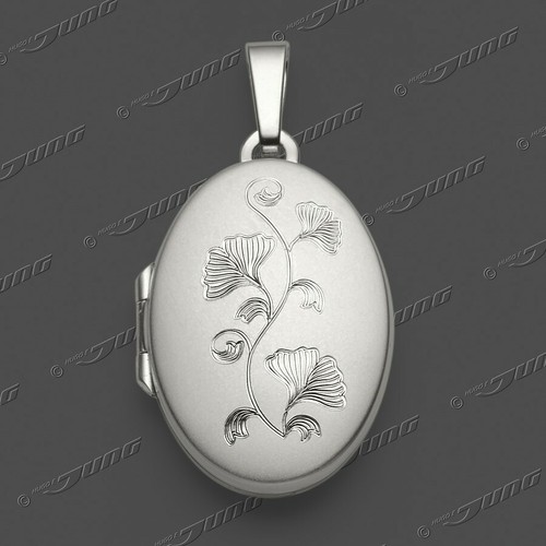 Ginko blatt foto medaillon - blatt,