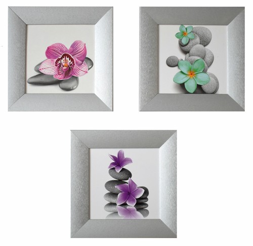Wandbild orchidee modern - wandbild,