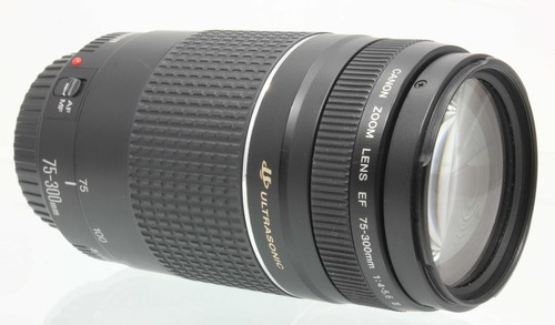 Canon zoom lens 300mm - canon,