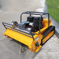 Aus der Region stammende