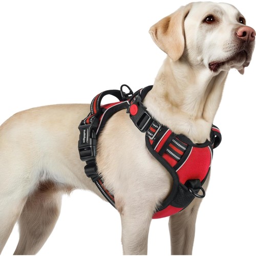 Hundegeschirr verstellbar
