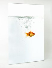 EXPOLINC 4screen Bannerdisplay mit Grafik 70x195cm - Markenqualität - 50% Rabatt