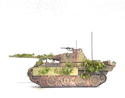 Trident panther f - trident,