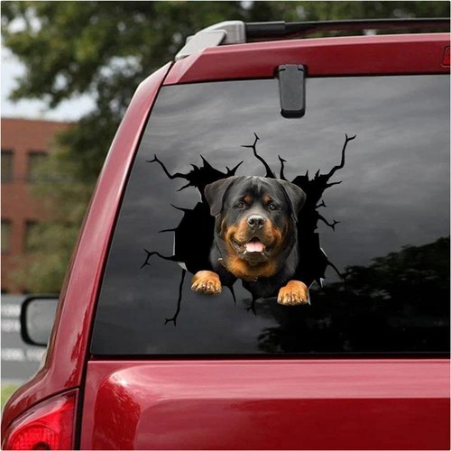 Auto aufkleber rottweiler riss - auto,